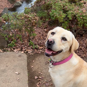 就職斡旋業者は巧妙化してるかも。の画像