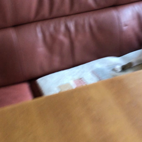 台風去って… 今朝のデール怒られる！の画像