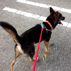 ランプくんの画像