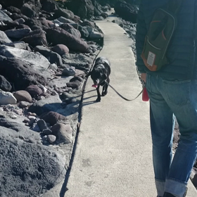 真鶴の動画の画像