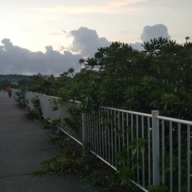 金曜日ポタ！の画像