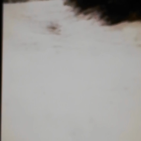 ✴️コブ検定✴️の画像