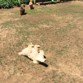 良い天気‼️ 2の画像