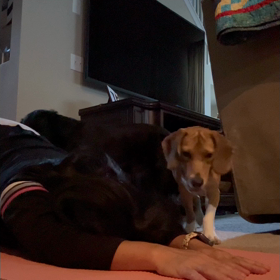 朝のヨガの画像