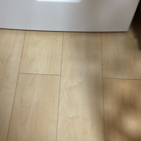 ■あ〜る・甘えん坊デラックス・スパニエル■の画像