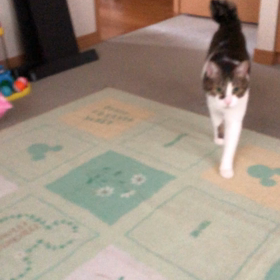 デールと疲れずに遊ぶ！の画像