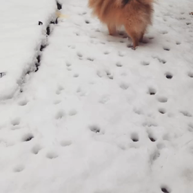 冷たいのかなの画像