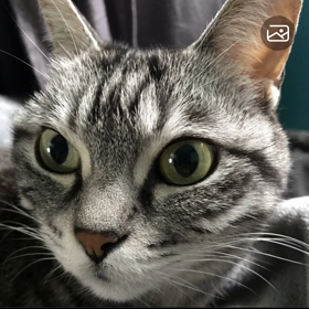 未来は絶望？自分で切り開く時代到来！情報は各自で判断 ※フィクションありの画像