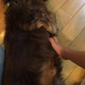 ストライキ！の画像