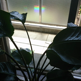 光っとる 光っとる‼️の画像