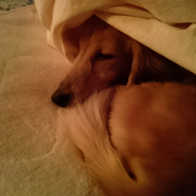 人のぬくもりの画像