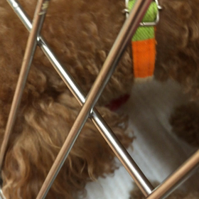 また、１つ階段をのぼったよ！の画像