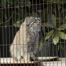 気を引き締めての画像