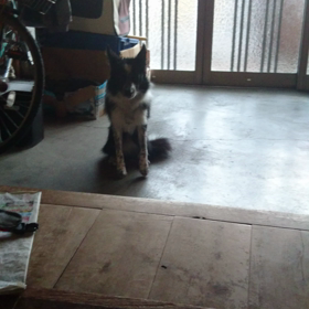 タオさん ハーイ(^-^)の画像