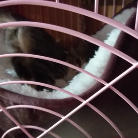 それぞれが、気になっての画像