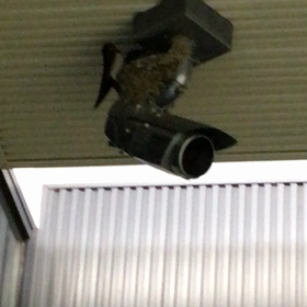 幸せな時間の画像