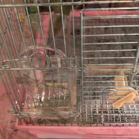 カメラ目線の画像