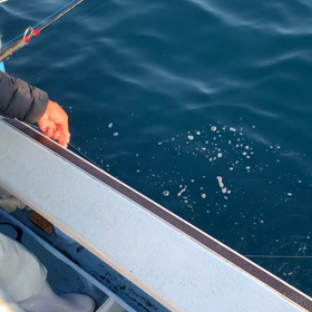 続、ダブル、トリプル！の画像