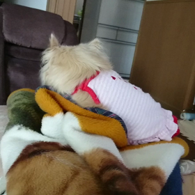 気になります？の画像