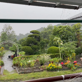 急な悪天候！の画像