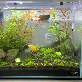 社員旅行の画像