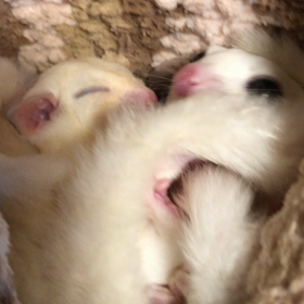 楽しみ♡の画像