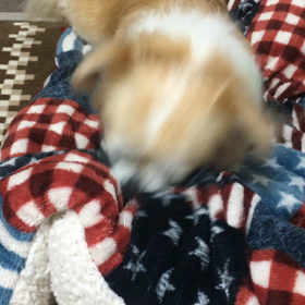 どんな子でも可愛いのだの画像