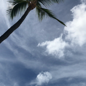 もうすぐ帰りますの画像