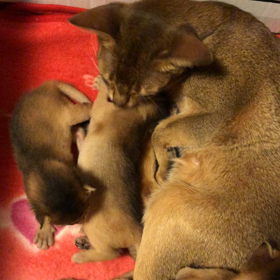 子育て奮闘中❗️❗️の画像