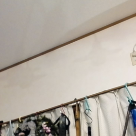 ハロウィンの日に、クリスマスメッセージ。の画像