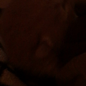 はーいミルクだよ！の画像