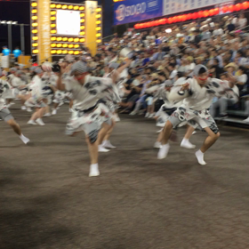阿波踊りの画像