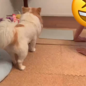 押すなよ押すなよの画像