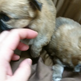 可愛らしっ(*^^*)！の画像