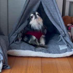 べる可愛いっの画像