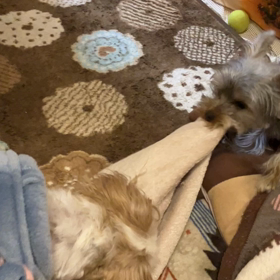 2人でブルブル！の画像