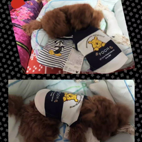 お洋服が1ヶ月でキツくなった・・☆の画像