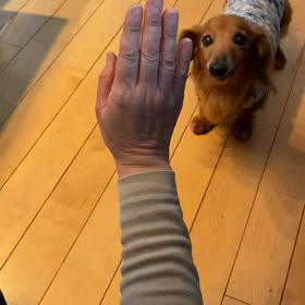 成君真剣なお顔が可愛い❤️動画の画像