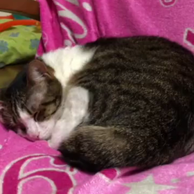 もう1人の天使に助け求めている…今日。の画像