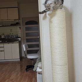 手術前検査の画像