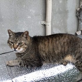 有意義な1日〜の画像