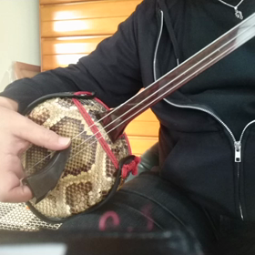 沖縄三線を始めたい方の初級編を動画撮って見ました。の画像