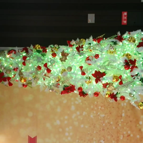 広島駅北口のクリスマスツリーの画像