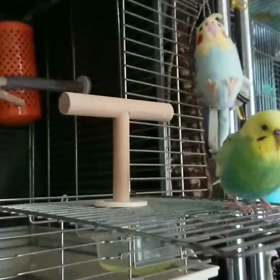 まるでホラー映画(動画)の画像