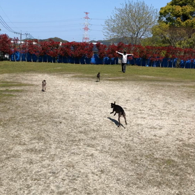 ばびゅーんの画像