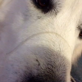 世界に飛び散るふ〜のよだれ( ^ω^ )の画像