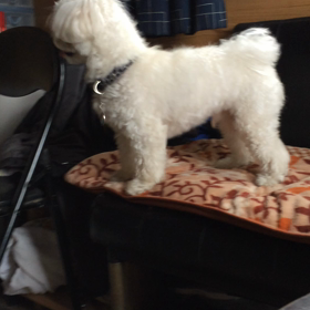 はよ、めしくれよー！(#ﾟДﾟ) ﾌﾟﾝｽｺ！の画像