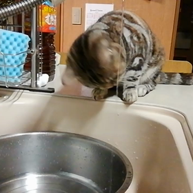 のど乾いたの？の画像