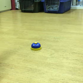 さすがクリッカー育ち！の画像