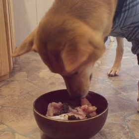 おいしい鶏〜♪の画像